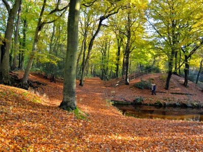 Holiday apartment Boschlust NO 5 - Environment photo 34