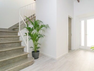 Holiday house Can Serra - Features photo 36