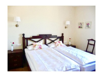 Apartment Simona Penthouse Apartment - Features photo 10