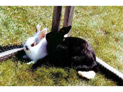 Apartment Adventuretravel to the Siganatenhof - Environment photo 13