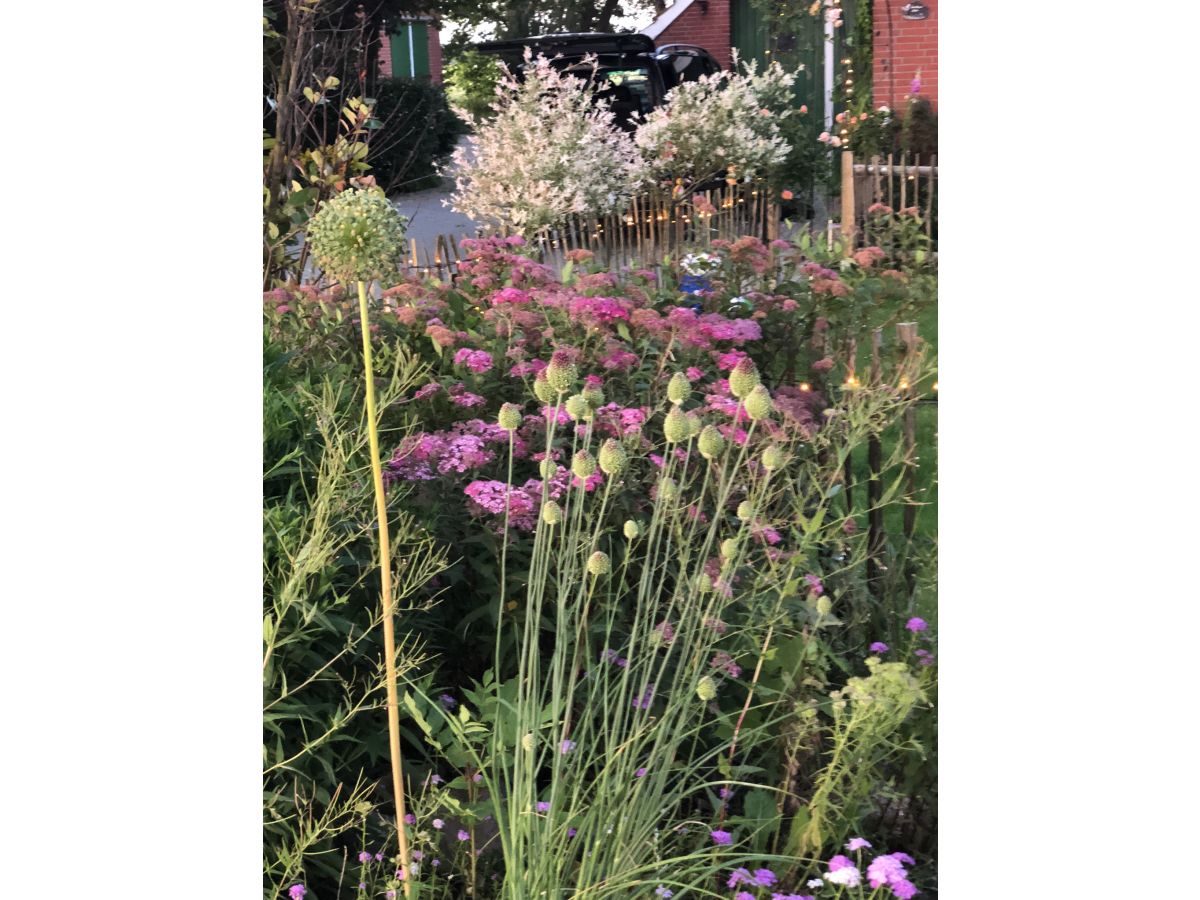 Holiday apartment Etzel 2 - Outdoor photo 5