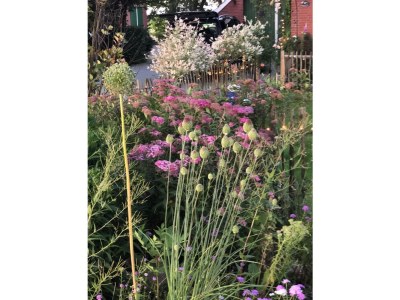 Holiday apartment Etzel 2 - Outdoor photo 5