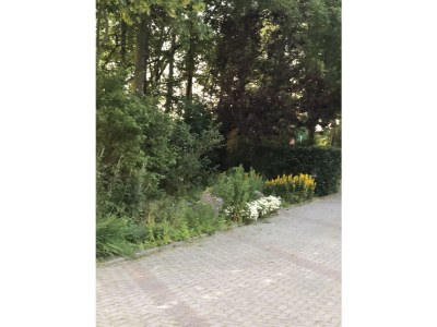 Holiday apartment Etzel 2 - Outdoor photo 6