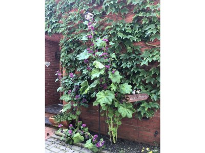 Holiday apartment Etzel 2 - Outdoor photo 7