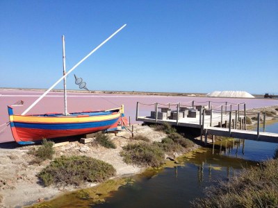 Holiday house Maison du Soleil - Environment photo 24