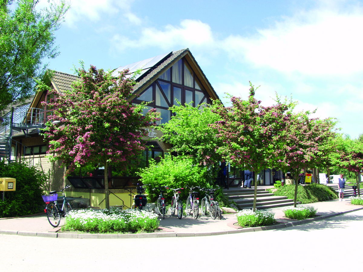 Holiday house Seemöwe ("Seagull") F178. 1 - Outdoor photo 3