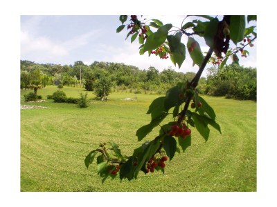 Holiday house La Gualda - Outdoor photo 6