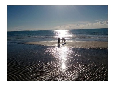 Holiday house La Gualda - Environment photo 22