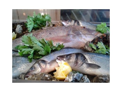 Holiday house La Gualda - Environment photo 23