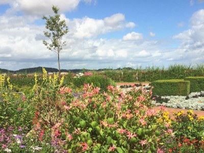 Holiday apartment Charmante FeWo Lütte Bris - Environment photo 19