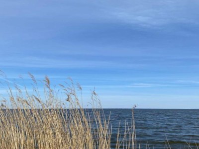 Holiday house Comfort Meets Coastal Charm - Environment photo 17