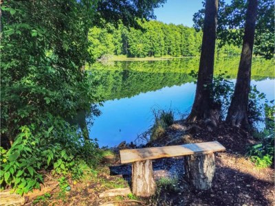 Holiday house Comfort Meets Coastal Charm - Environment photo 20