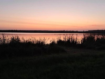 Holiday house Comfort Meets Coastal Charm - Environment photo 21