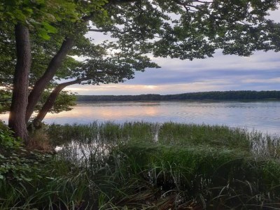 Holiday house Comfort Meets Coastal Charm - Environment photo 25