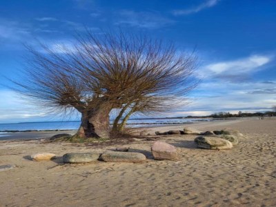 Holiday house Comfort Meets Coastal Charm - Environment photo 27