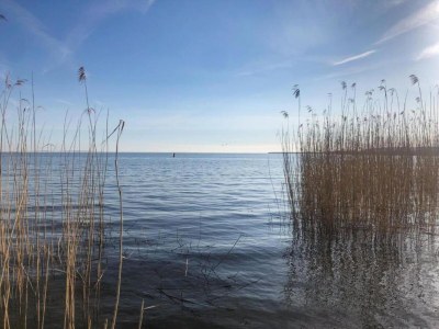 Holiday house Comfort Meets Coastal Charm - Environment photo 31