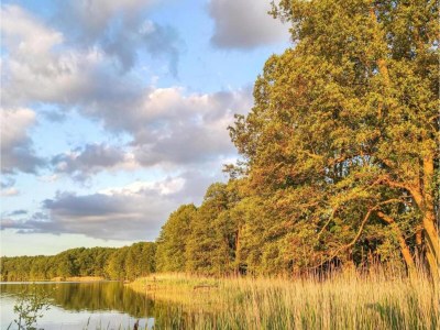 Holiday house Comfort Meets Coastal Charm - Environment photo 36