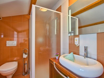 Villa Simone Porec - Features photo 10