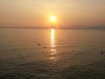 Holiday house Bardolino Lake Garda - Environment photo 17