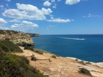 Villa Villa in Carvoeiro near Beach & Pool - Environment photo 35