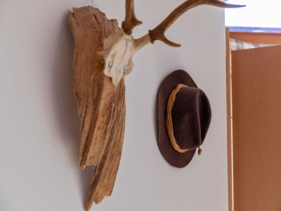 Apartment Wohnung in St. Stefan nahe Nassfeld Skigebiet - Outdoor photo 29