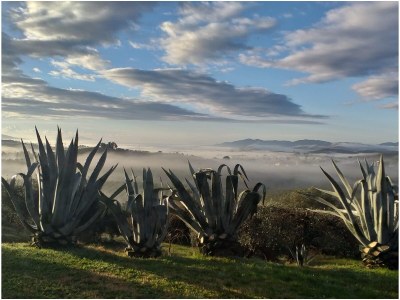 Holiday house Modern Rustic Dream View Maremma - Outdoor photo 4