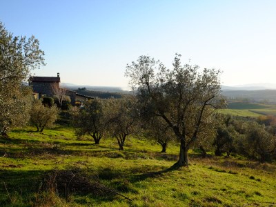 Holiday house Modern Rustic Dream View Maremma - Outdoor photo 11