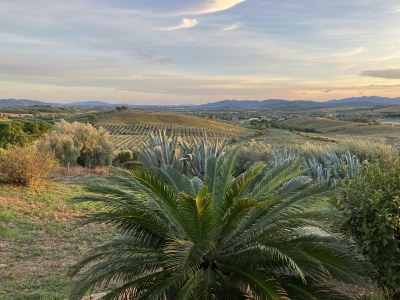 Holiday house Modern Rustic Dream View Maremma - Outdoor photo 12