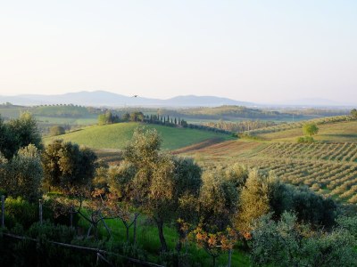Holiday house Modern Rustic Dream View Maremma - Environment photo 30