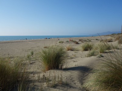 Holiday house Modern Rustic Dream View Maremma - Environment photo 31