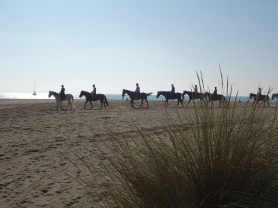 Holiday house Modern Rustic Dream View Maremma - Environment photo 32