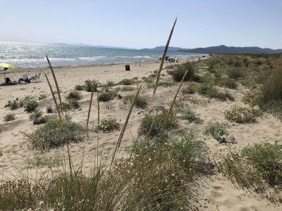 Holiday house Modern Rustic Dream View Maremma - Environment photo 33