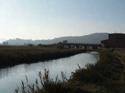 Holiday house Modern Rustic Dream View Maremma - Environment photo 39