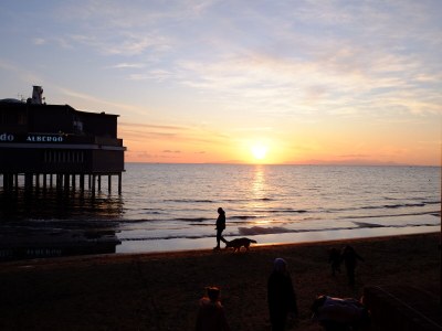 Holiday house Modern Rustic Dream View Maremma - Environment photo 40