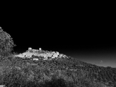 Holiday house Modern Rustic Dream View Maremma - Environment photo 41