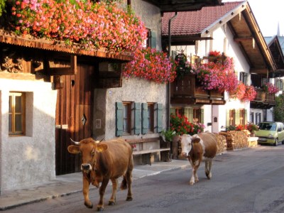 Holiday apartment Alpspitz-Panorama - Environment photo 16