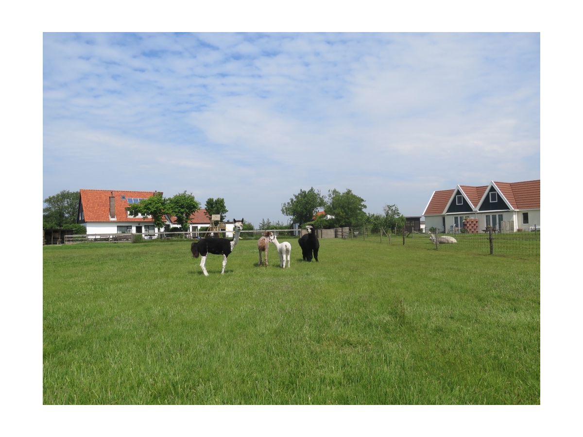 Holiday house Tyeslemore Cottage 7 - Outdoor photo 2