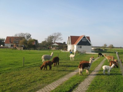 Holiday house Tyeslemore Cottage 7 - Outdoor photo 3