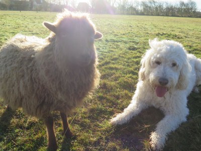 Holiday house Tyeslemore Cottage 7 - Outdoor photo 6