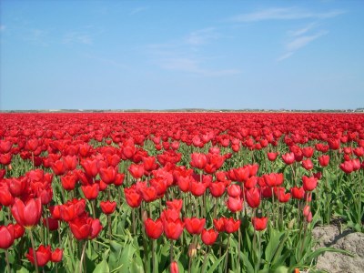 Holiday apartment Strandjutter - Environment photo 25