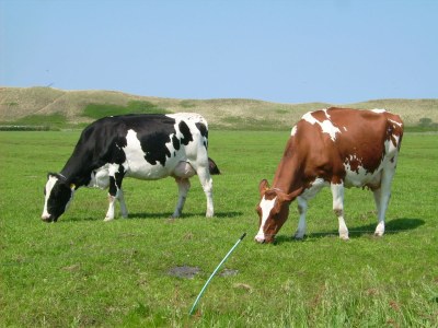 Holiday apartment Strandjutter - Environment photo 27