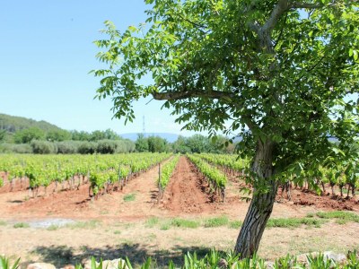 Villa Private Pool in Provence - Outdoor photo 14