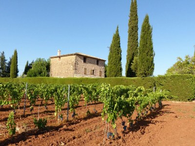 Villa Private Pool in Provence - Environment photo 33
