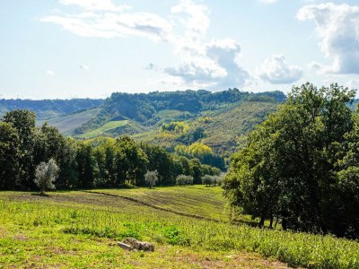 Villa Villa in Orvieto with Infinity Pool & Views - Outdoor photo 6