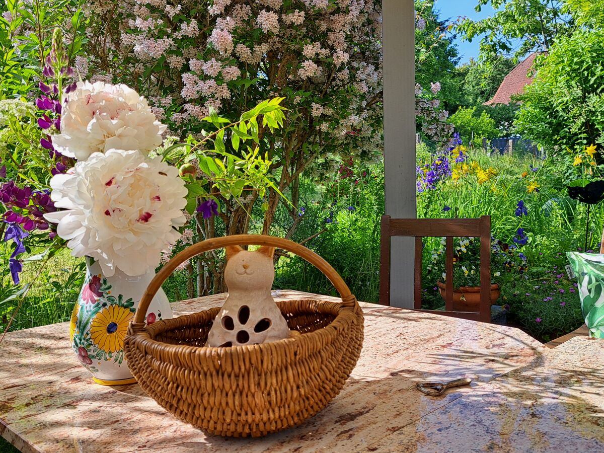 Holiday house Red Cat - Outdoor photo 4