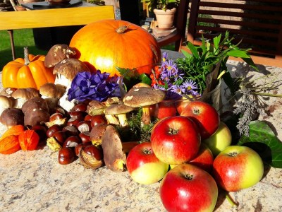 Holiday house Red Cat - Outdoor photo 6