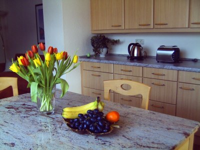 Holiday house Red Cat - Features photo 14