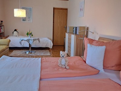 Holiday house Red Cat - Features photo 17