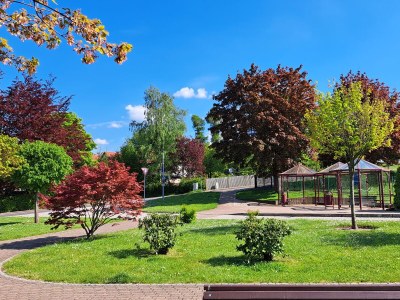 Holiday house Red Cat - Environment photo 23