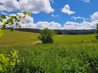 Holiday house Red Cat - Environment photo 25